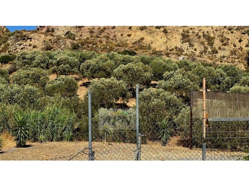 2 soverom Herregård til salgs