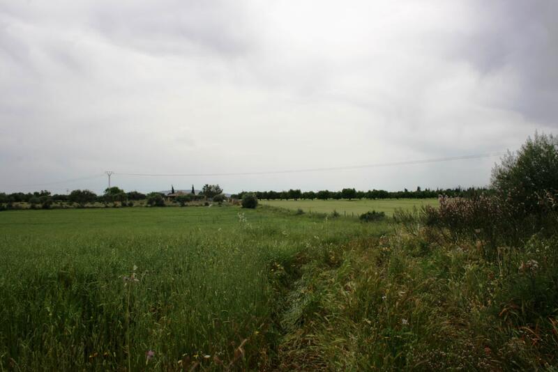 Lantställe till salu