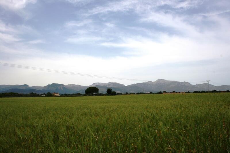 Lantställe till salu