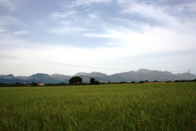 Lantställe till salu