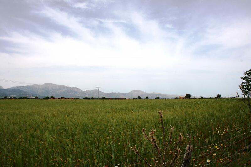 Lantställe till salu