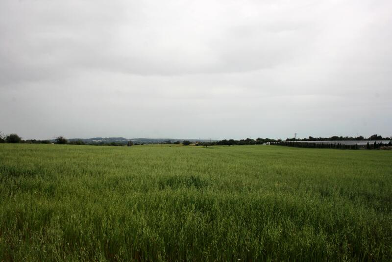 Lantställe till salu