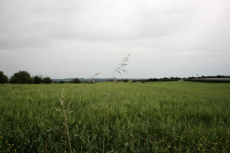 Lantställe till salu