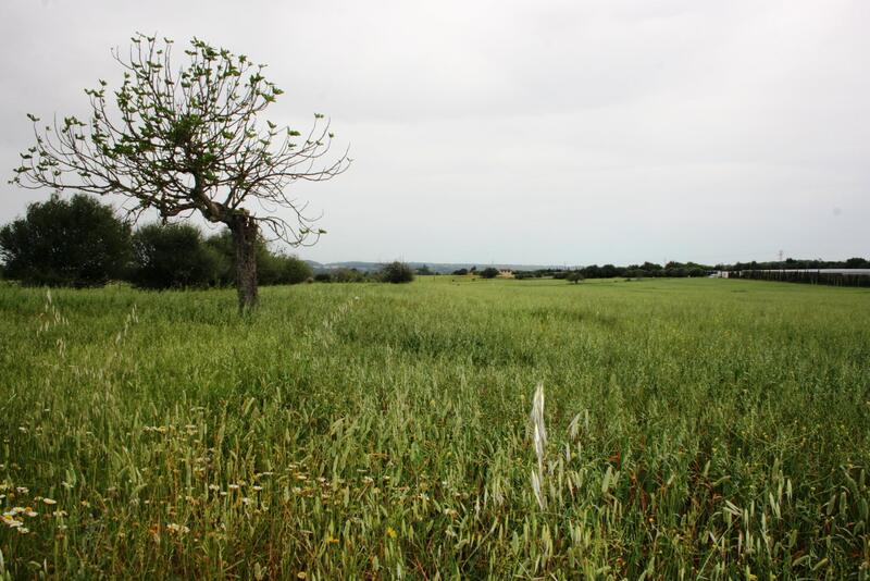 Lantställe till salu