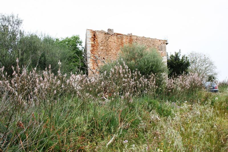 Lantställe till salu