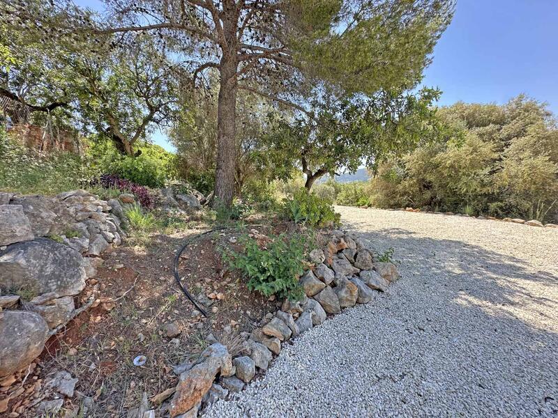 3 chambre Villa à vendre