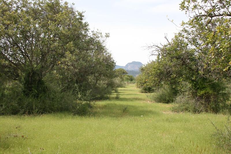 Radhus till salu i Binissalem, Mallorca Radhus till salu i Binissalem, Mallorca