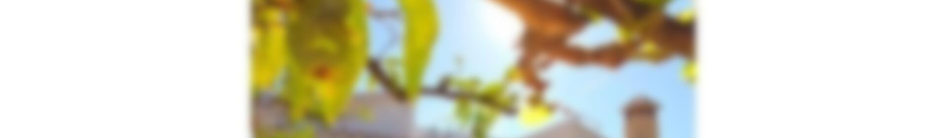 4 soverom Herregård til salgs