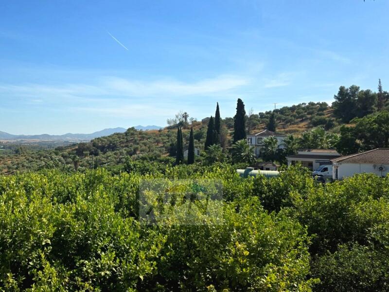 3 sovrum Lantställe till salu