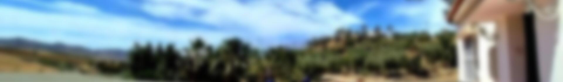 3 soverom Herregård til salgs