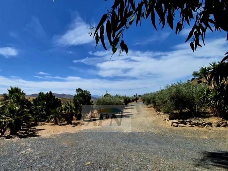 3 soverom Herregård til salgs