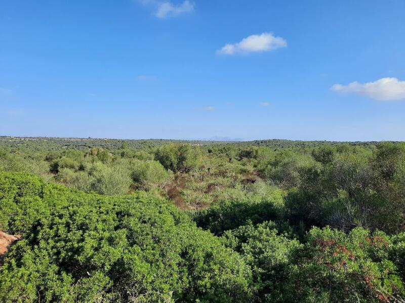 1 sovrum Radhus till salu