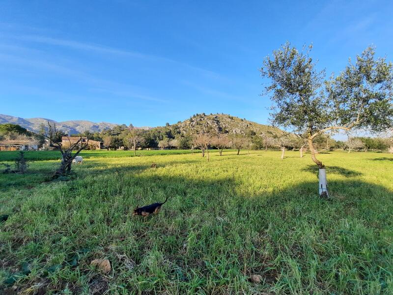 4 Schlafzimmer Landhaus zu verkaufen