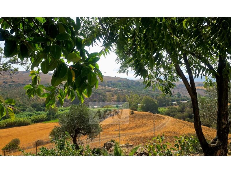 4 chambre Auberge à vendre