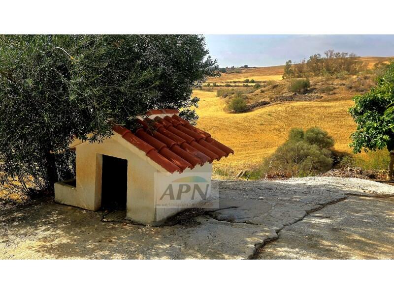 4 chambre Auberge à vendre