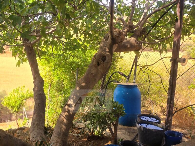 4 chambre Auberge à vendre