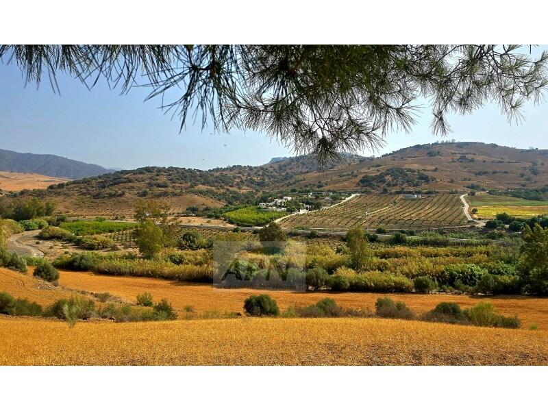 4 chambre Auberge à vendre