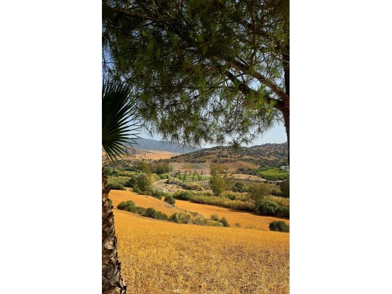 4 chambre Auberge à vendre