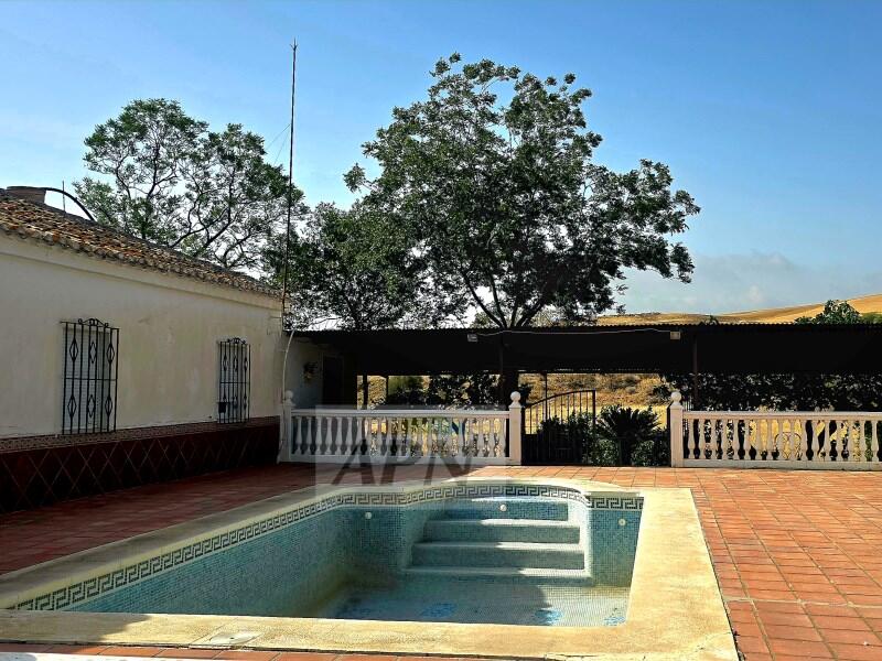 4 chambre Auberge à vendre