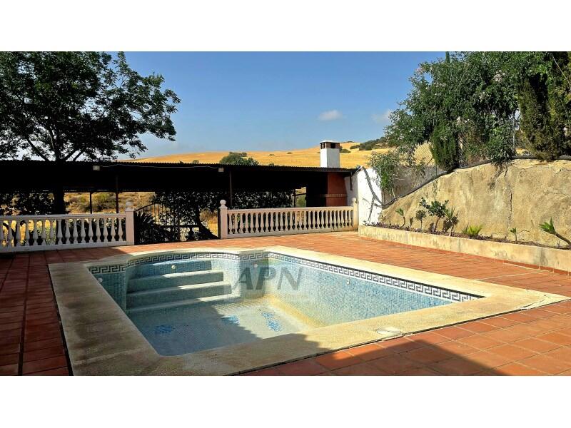 4 chambre Auberge à vendre