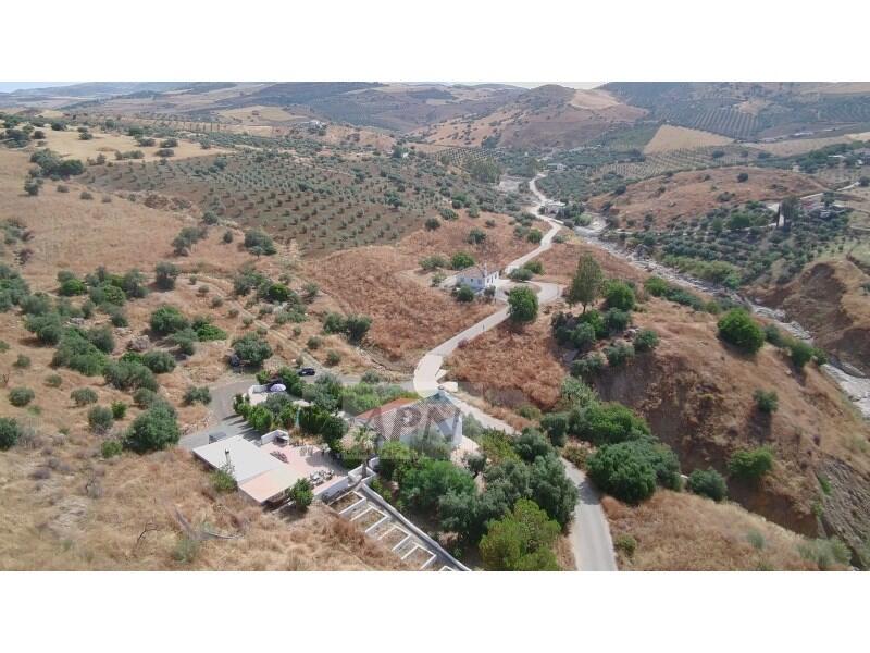 4 chambre Auberge à vendre