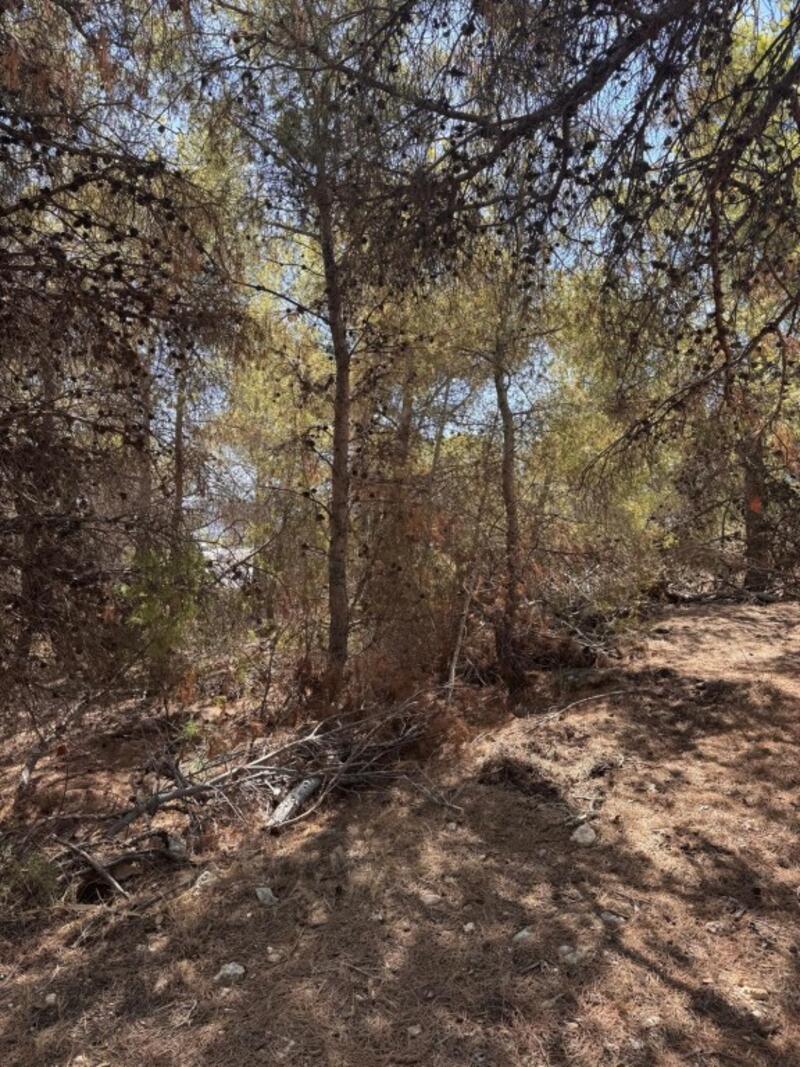 Apartment for sale Apartment for sale