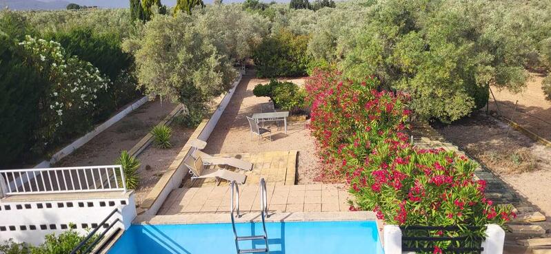 3 Cuarto Villa en venta