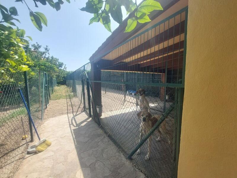 5 bedroom Villa for sale