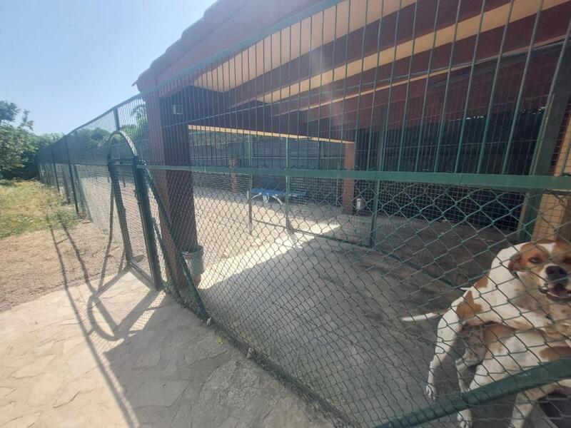 5 bedroom Villa for sale