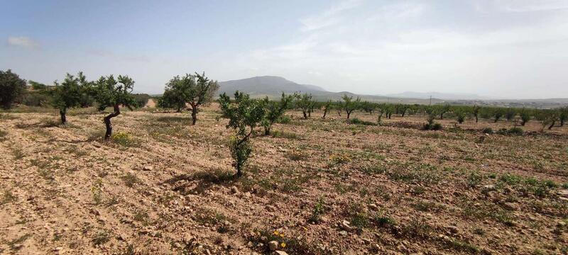 Country House for sale