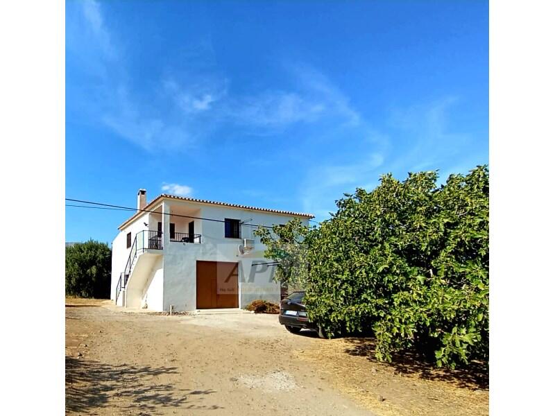 4 soveværelse Landsted til salg