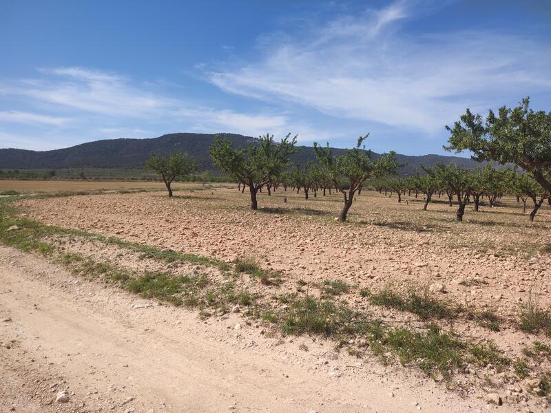 3 sovrum Villa till salu