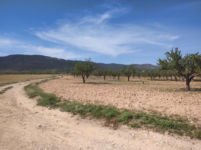 3 sovrum Villa till salu