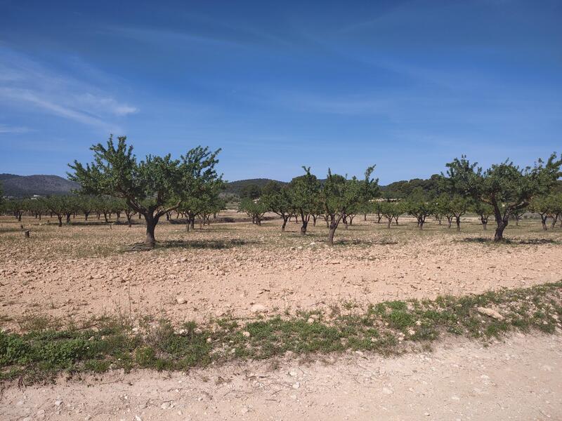 3 sovrum Villa till salu