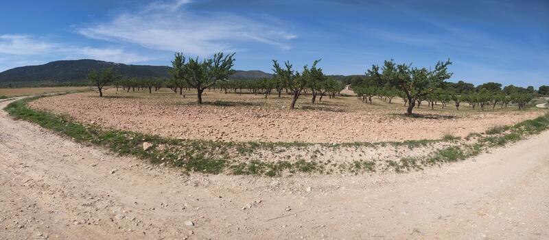 3 sovrum Villa till salu