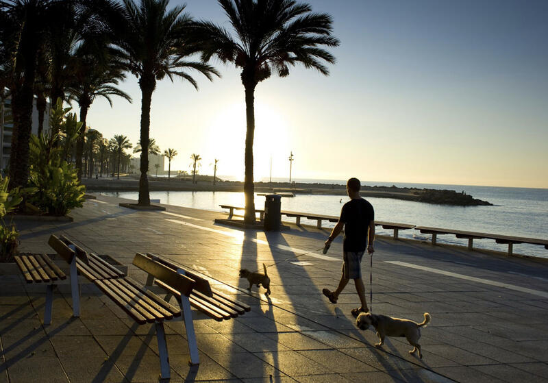 3 soverom Leilighet til salgs