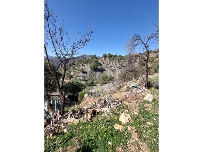 3 slaapkamer Landhuis Te koop