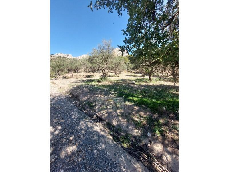 3 slaapkamer Landhuis Te koop