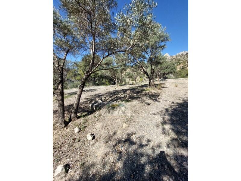 3 slaapkamer Landhuis Te koop