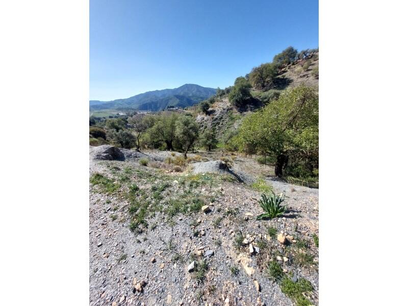 3 slaapkamer Landhuis Te koop