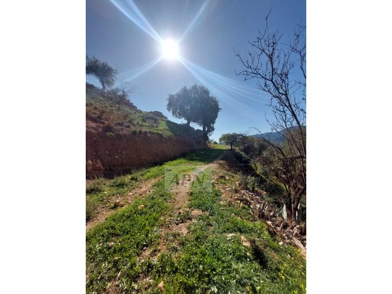 3 slaapkamer Landhuis Te koop