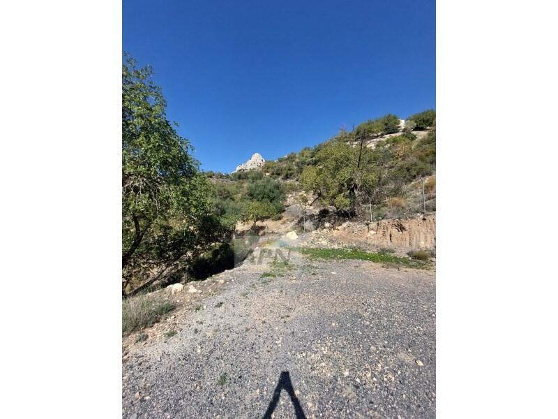 3 slaapkamer Landhuis Te koop