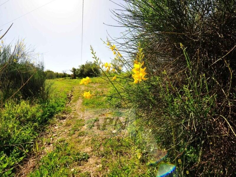 5 bedroom Country House for sale