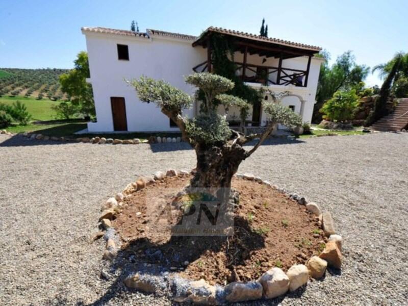 5 bedroom Country House for sale