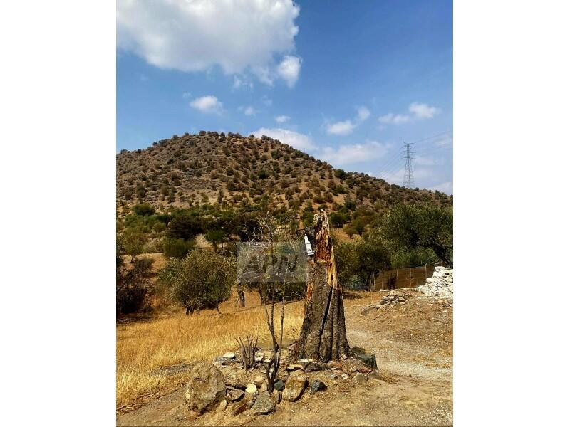 Villa for sale Villa for sale