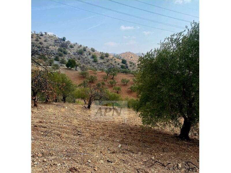 Villa for sale Villa for sale