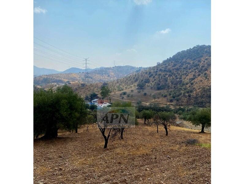 Villa for sale Villa for sale