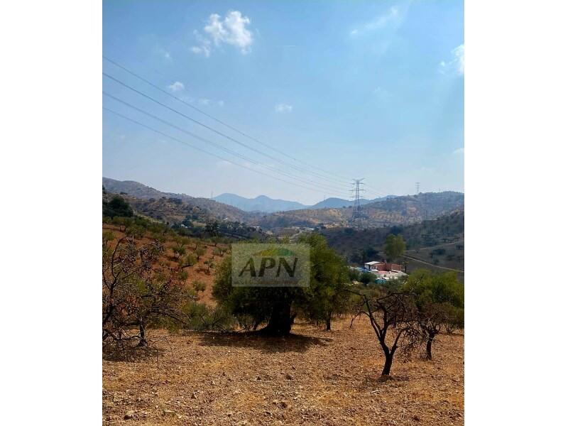 Villa for sale Villa for sale