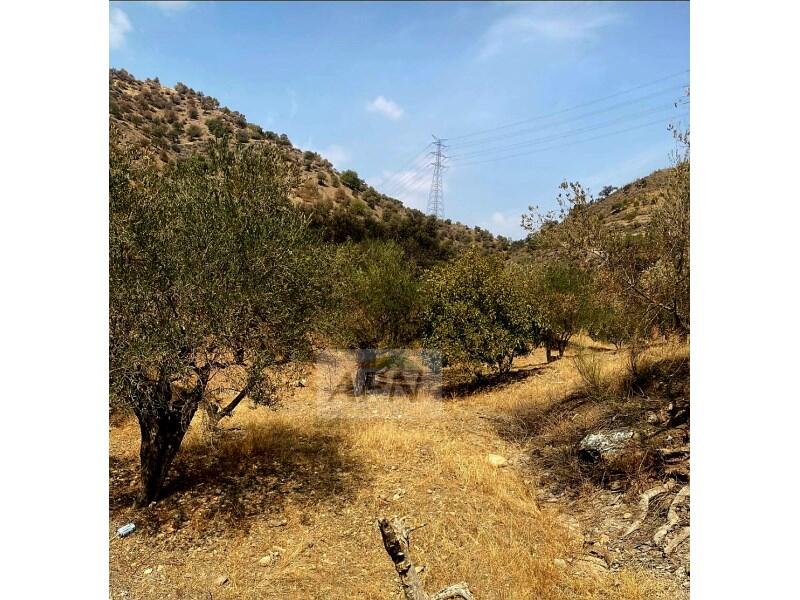 Villa for sale Villa for sale