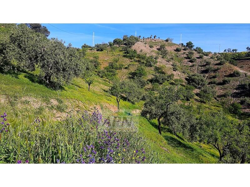 Villa zu verkaufen in Alora, Málaga